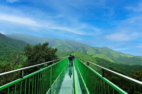 Glass Bridge 900 Kandi, Wayanad